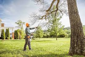 Trusted New Britain, CT Tree Care Experts